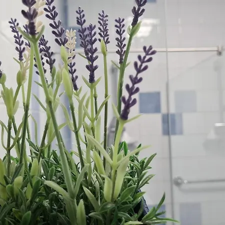 Apartamento Vista Douro E Mar *