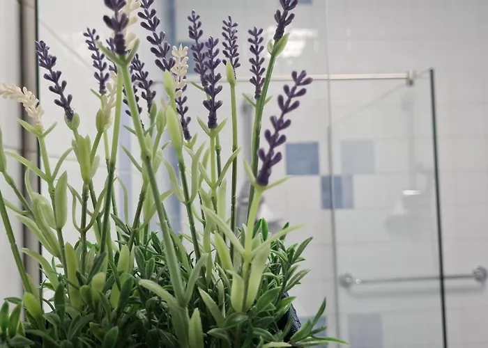 Lägenhet Vista Douro E Mar *