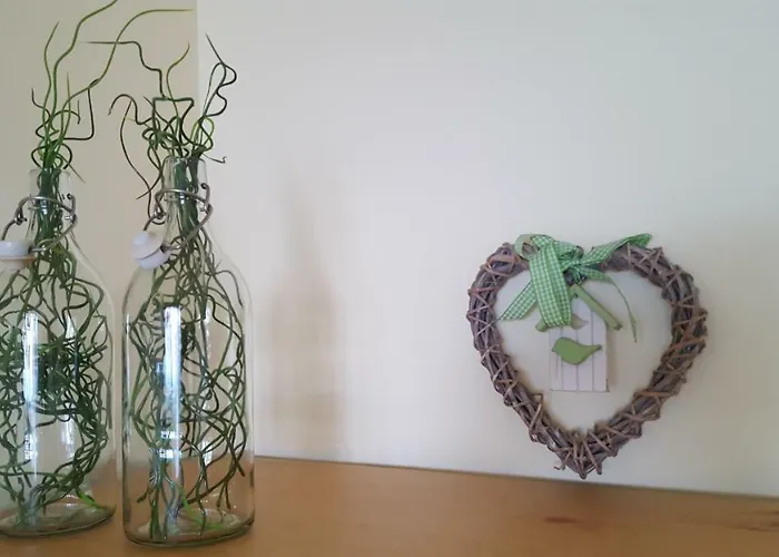 远景杜罗马尔公寓 *