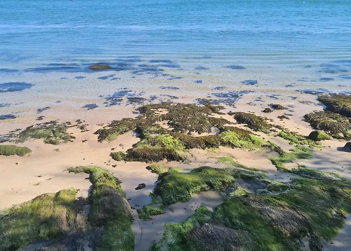 Apartment Vista Douro E Mar *